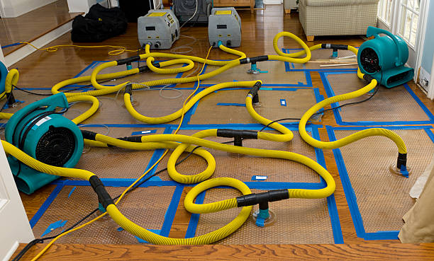 Professional Crawl Space Water Removal technician working in Viola, IL