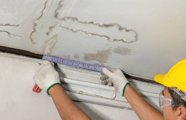 Affordable Water Damage Repair solutions in Viola, IL
